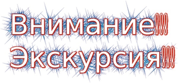 Экскурсионный день в школе.